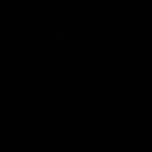 Meet your Posher, Janice